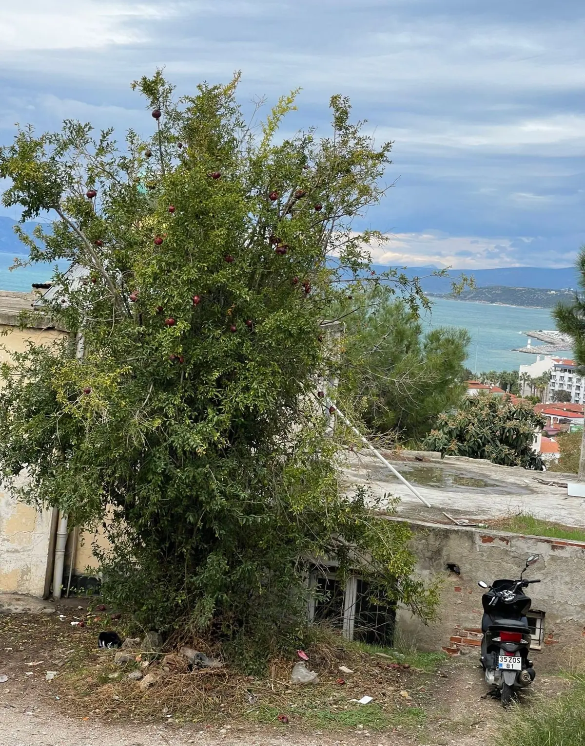 ✨ Kısmi Deniz Manzaralı 226 M² İmarlı Arsa... - 6