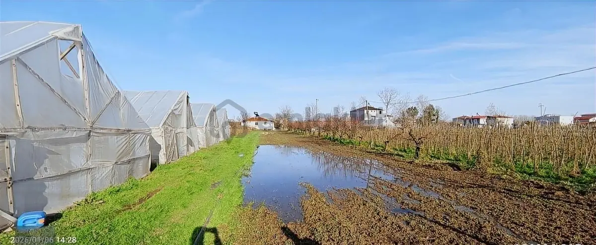 Görgülü Emlaktan Satılık Çiftlik 8801 M² - 8