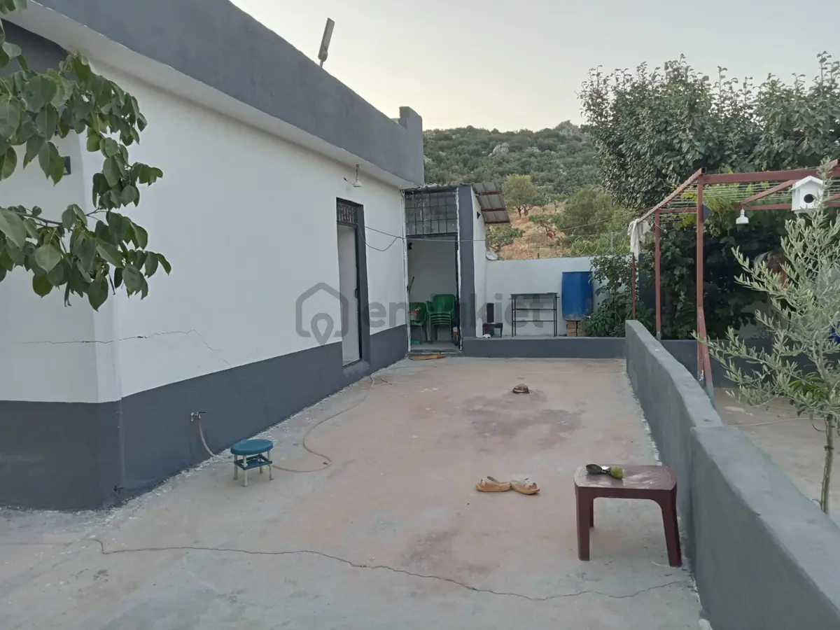 Millioğlu İnşaat'tan Yeşilce'de Satılık Bağ Evi - 12
