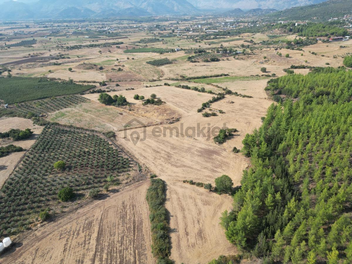 Ekşili'de Köy İçi Ormana Cephe 6631 M2 Satılık Tarla - 8