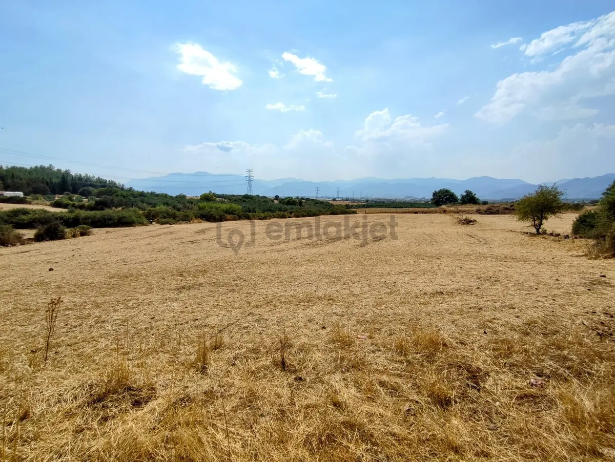 Ekşili'de Köy İçi Ormana Cephe 6631 M2 Satılık Tarla - 2