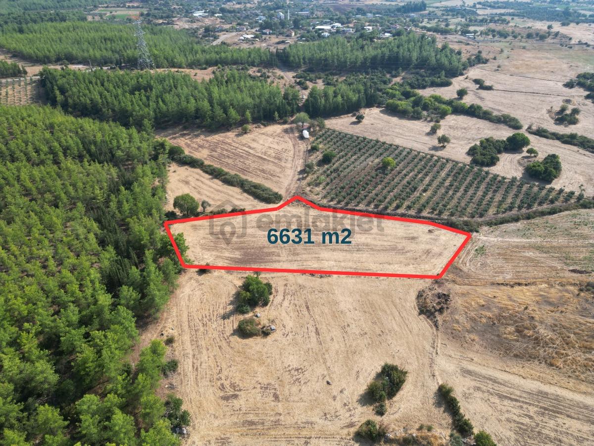 Ekşili'de Köy İçi Ormana Cephe 6631 M2 Satılık Tarla - 2