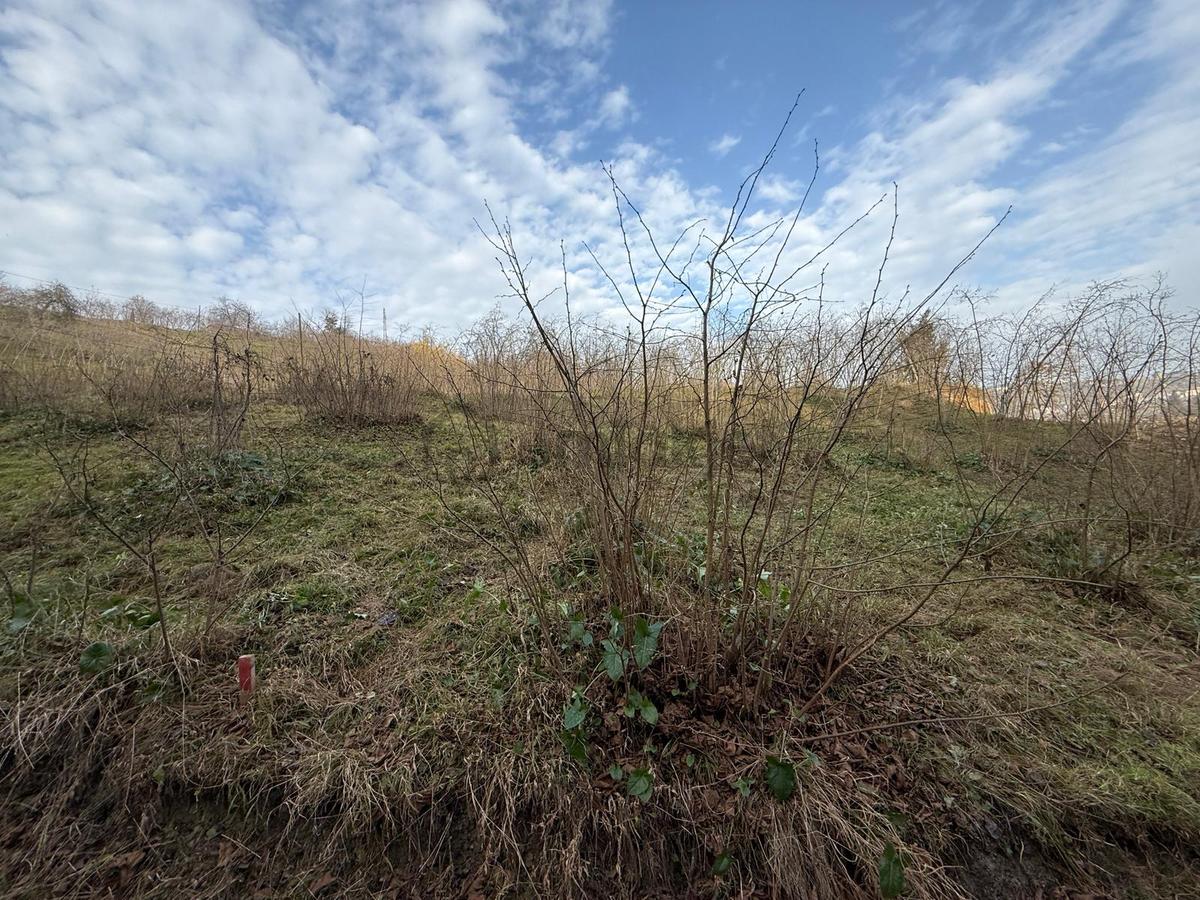 Trabzon'da Satılık Arazi - 25
