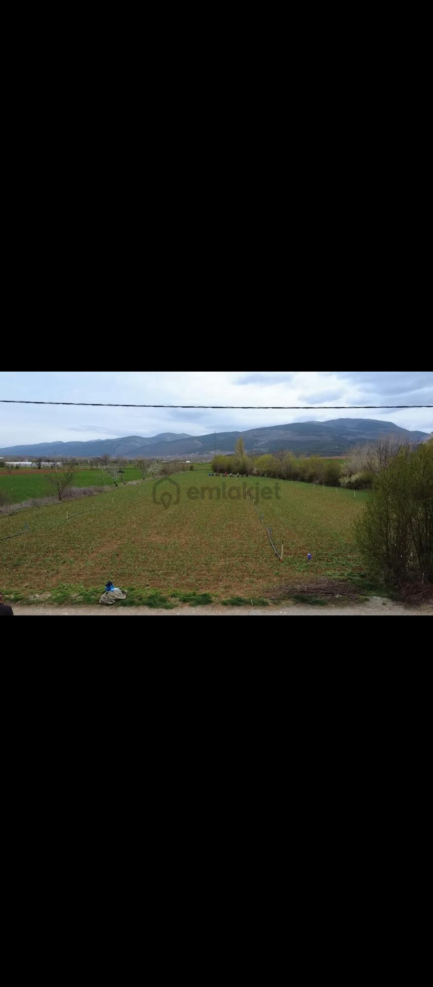 Uca'dan Gedil Mahallesin De Satılık Tarla - 7