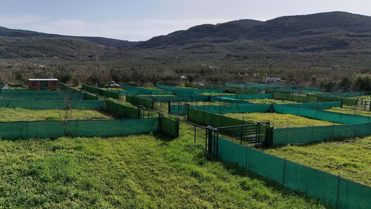 Mudanya Trilye De Satılık Bahçeler - 15
