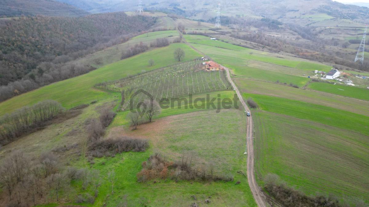 Kocaeli Karamürsel Çamdibi Satılık %5 İmarlı 5498 M2 Tarla - 4