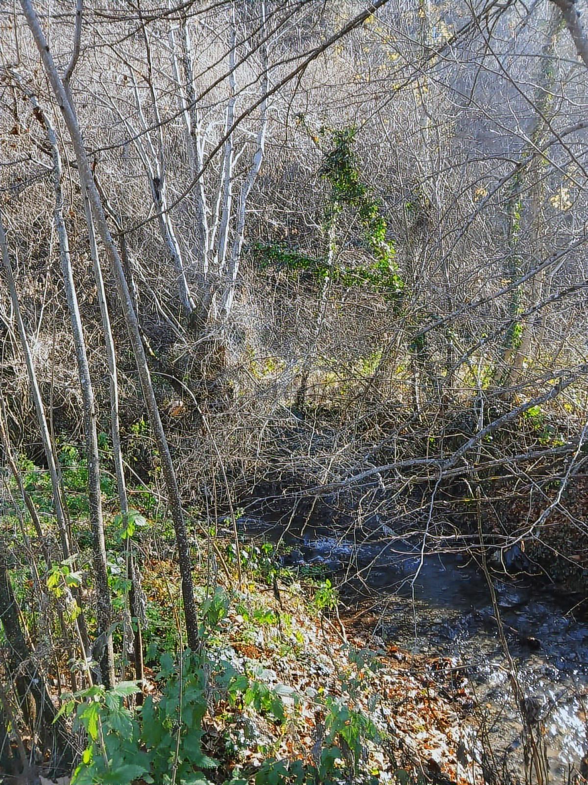 Bolu Mudurnu 550 M2 Satılık Arsa Acil Satılık - 12