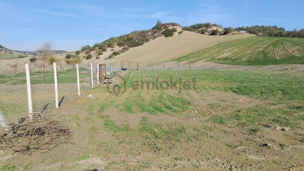 Sahibinden Adana Kılıçlı Satılık Arsa - 2