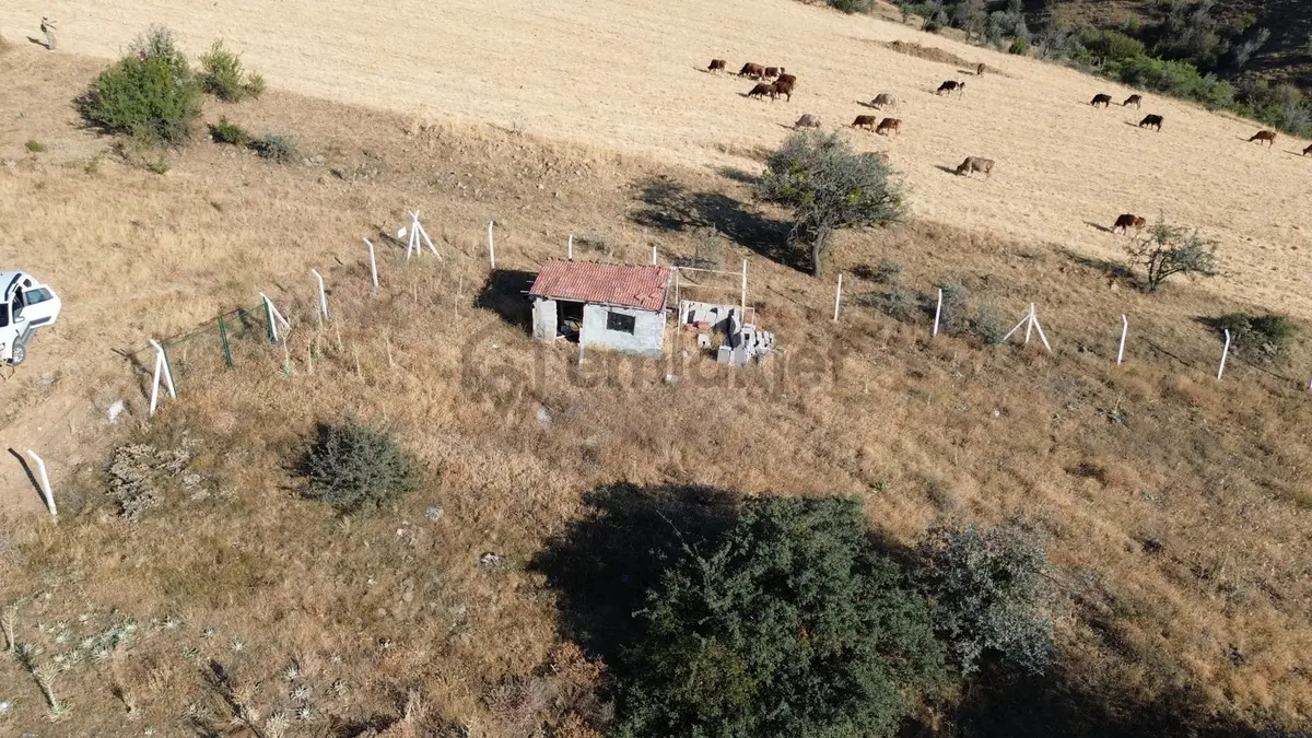 Han'dan İmarsız Tapulu Büyük Yer Arayanlara 1534 M2 Telli Tarla - 13