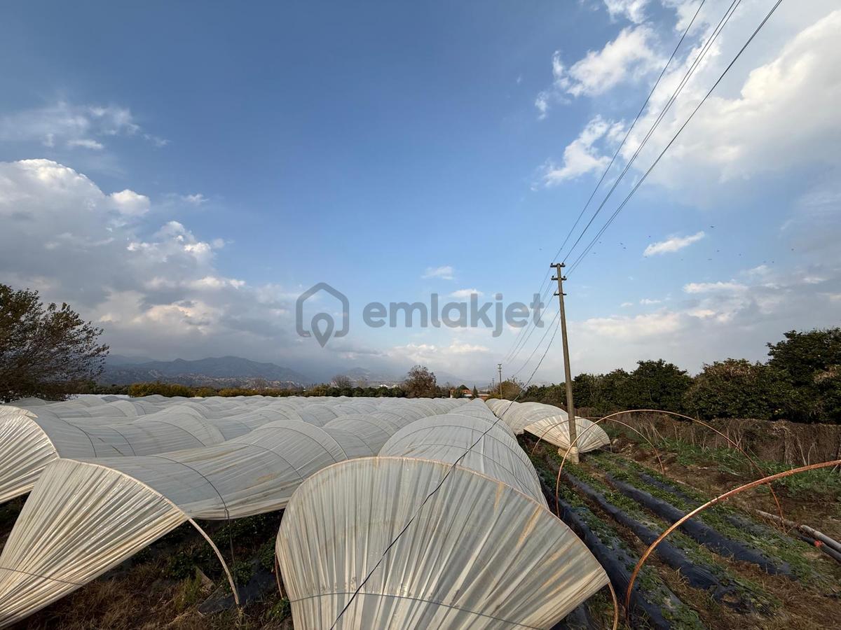 📌nazilli İsabeyli'de 10 Dönüm Satılık Tarla 📌 - 11
