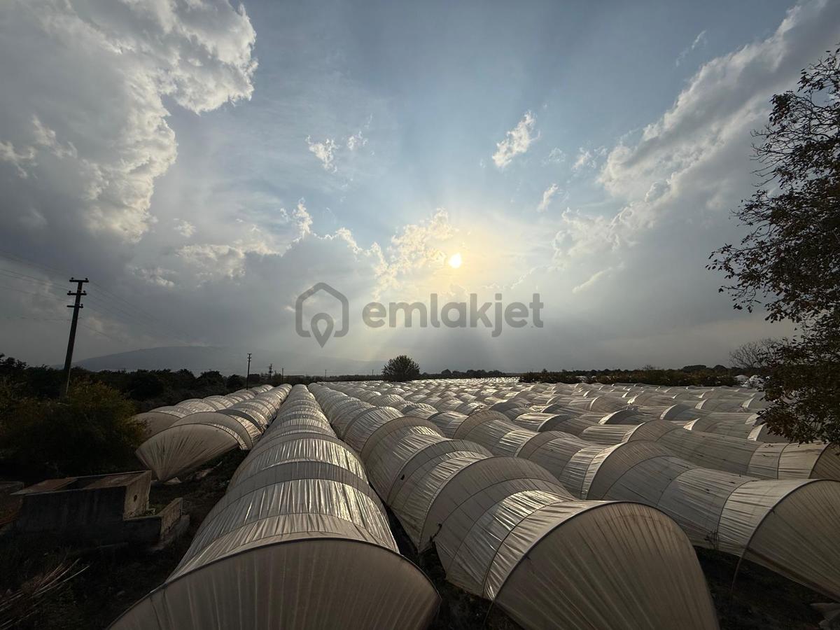 📌nazilli İsabeyli'de 10 Dönüm Satılık Tarla 📌 - 17