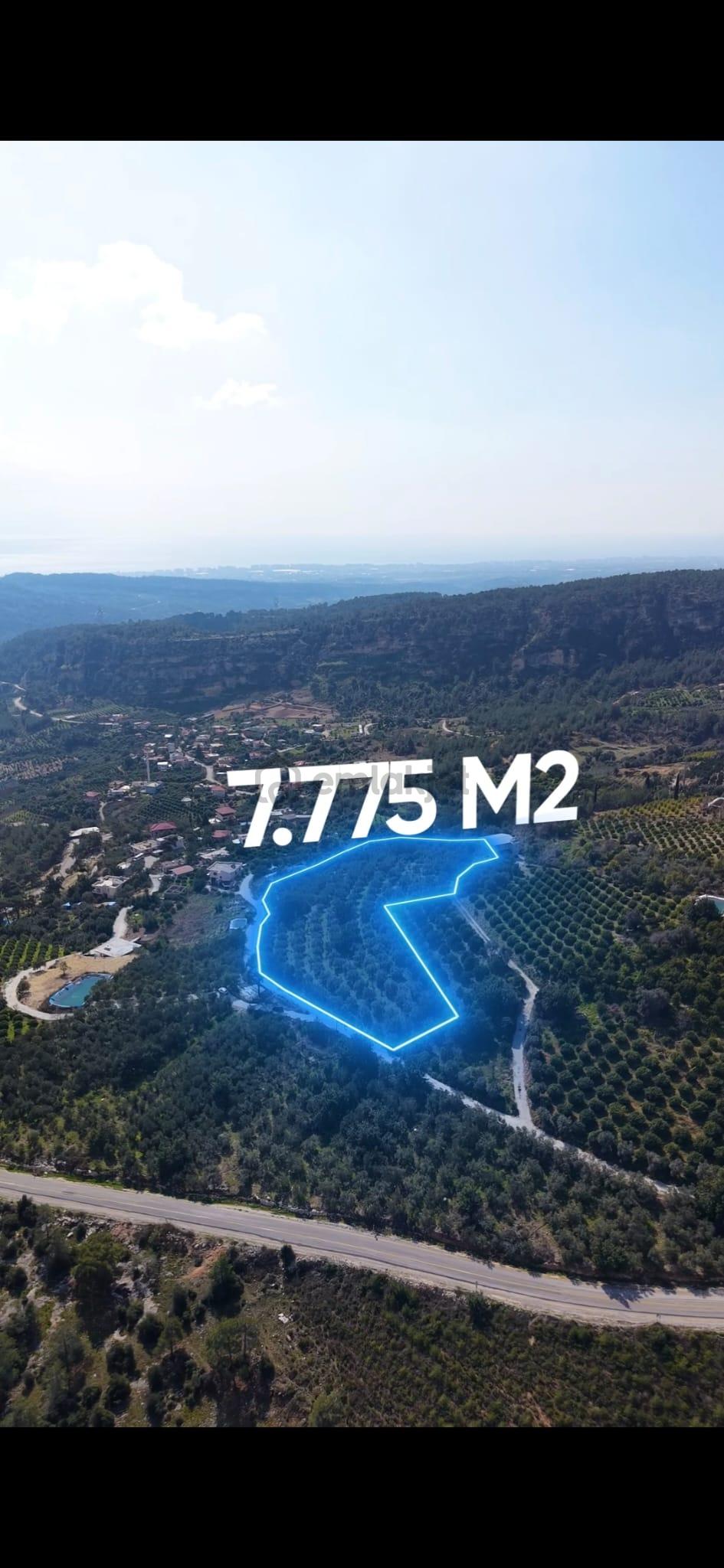 Aslan'dan 18 Adet Villa İmarlı Deniz Manzaralı Kupon Arsa - 3