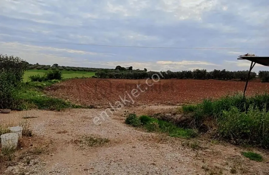 Karacabey Danişment'te 7,450 M2 Satılık Arazi - 6