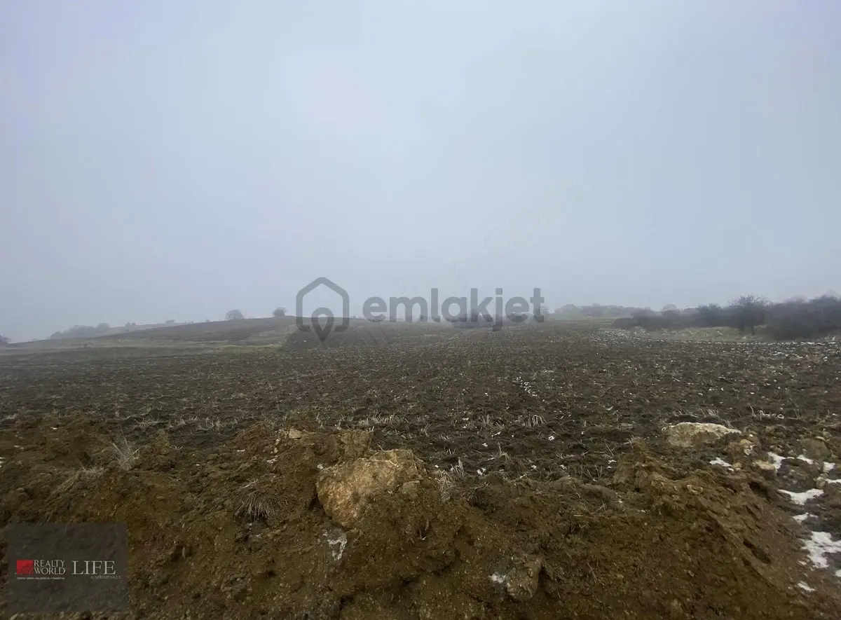 Rw Lıfe // İnönü İsmetpaşada Satılık Tarla - 3