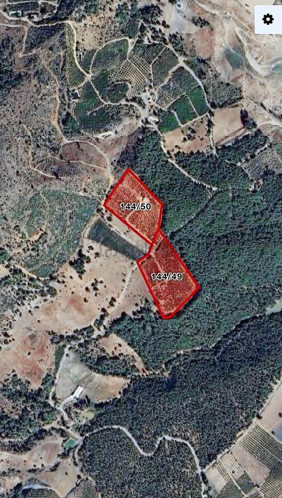 Fırsat Satılık Şeftali Bahçesi | Mersin Toroslar Evcili - 22