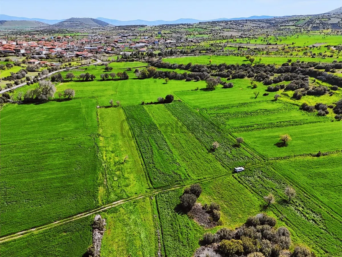 Kula'da Satılık 3000 M2 Düz Tarla, Hobi Bahçesi. - 11