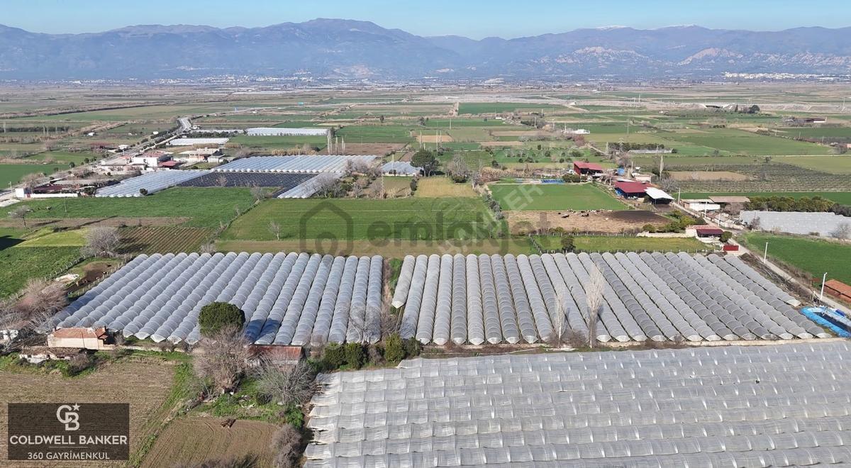 Aydın Yeni Pazar Da Satılık Tarla - 14