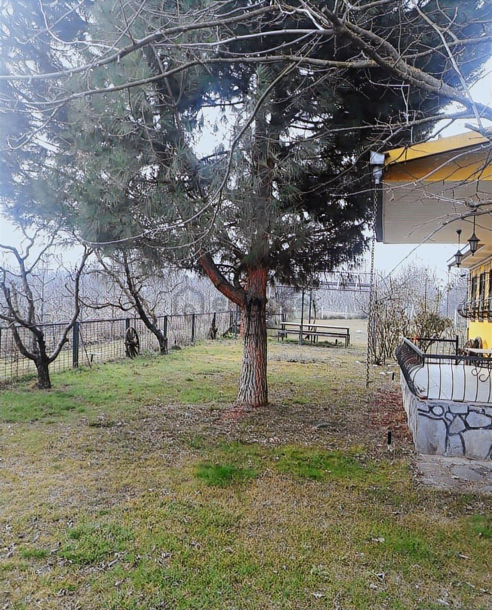 İnegöl Karagölet Bağ Çiftlikevi - 4