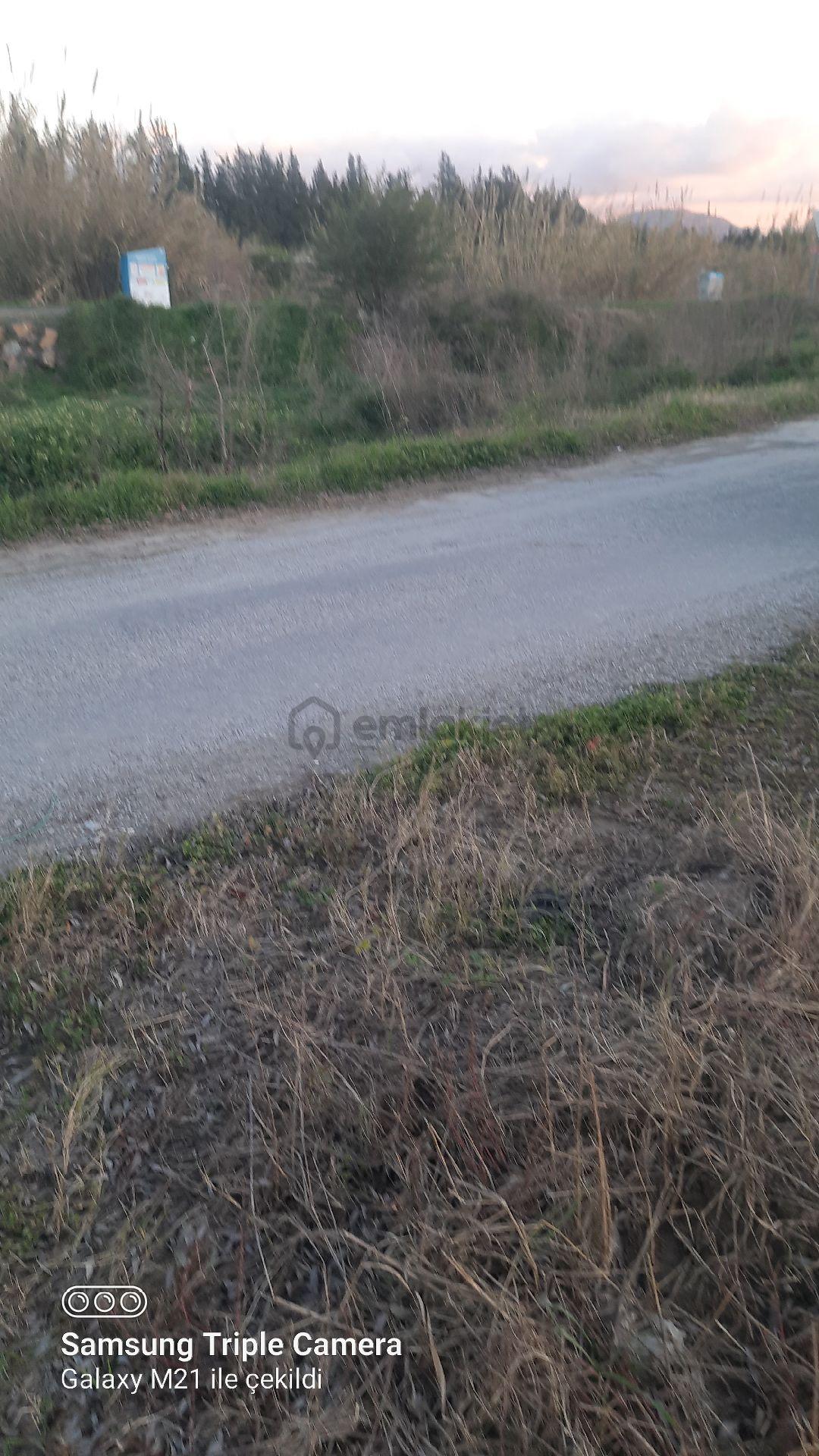 Ortaca Fevziye 2500 M2 Tarla - 4