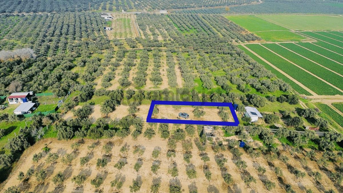 Foça Gerenköy'de Satılık 424 M2 Tarla - 34