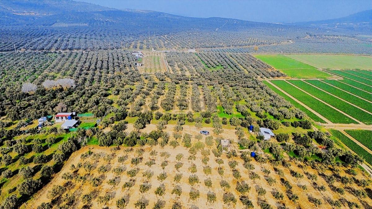 Foça Gerenköy'de Satılık 424 M2 Tarla - 17