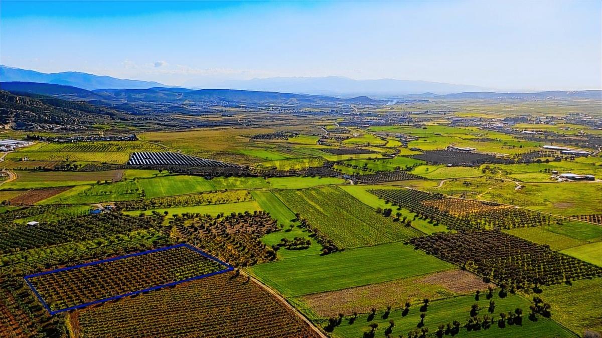 Foça Kocamehmetler'de Satılık Tarla - 26
