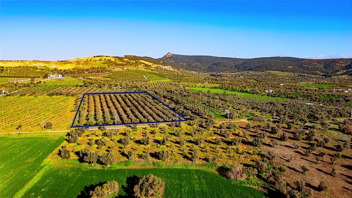 Foça Kocamehmetler'de Satılık Tarla - 2