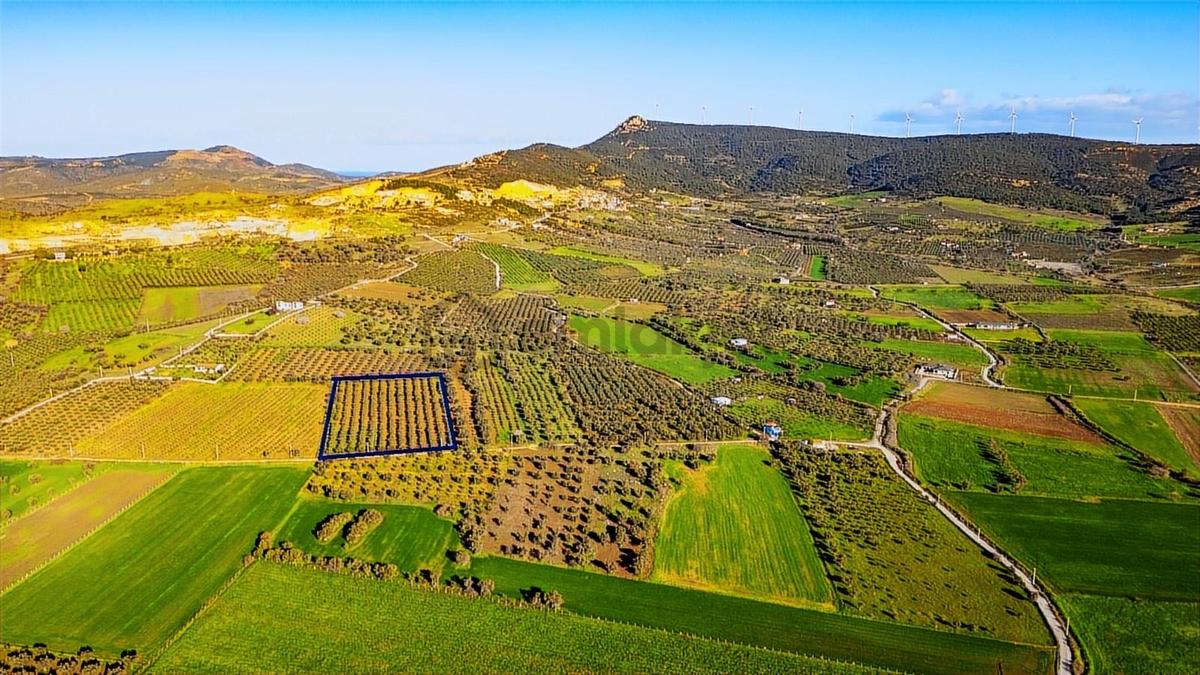 Foça Kocamehmetler'de Satılık Tarla - 10