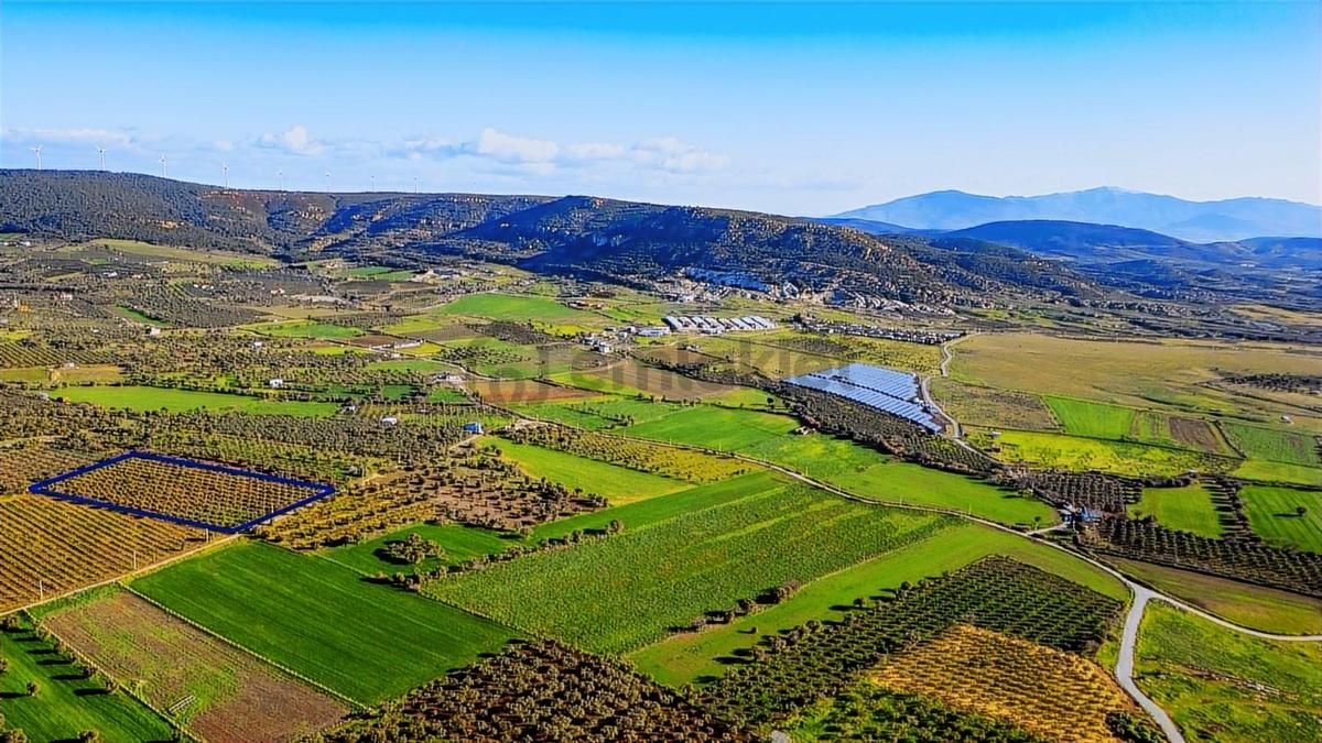 Foça Kocamehmetler'de Satılık Tarla - 7