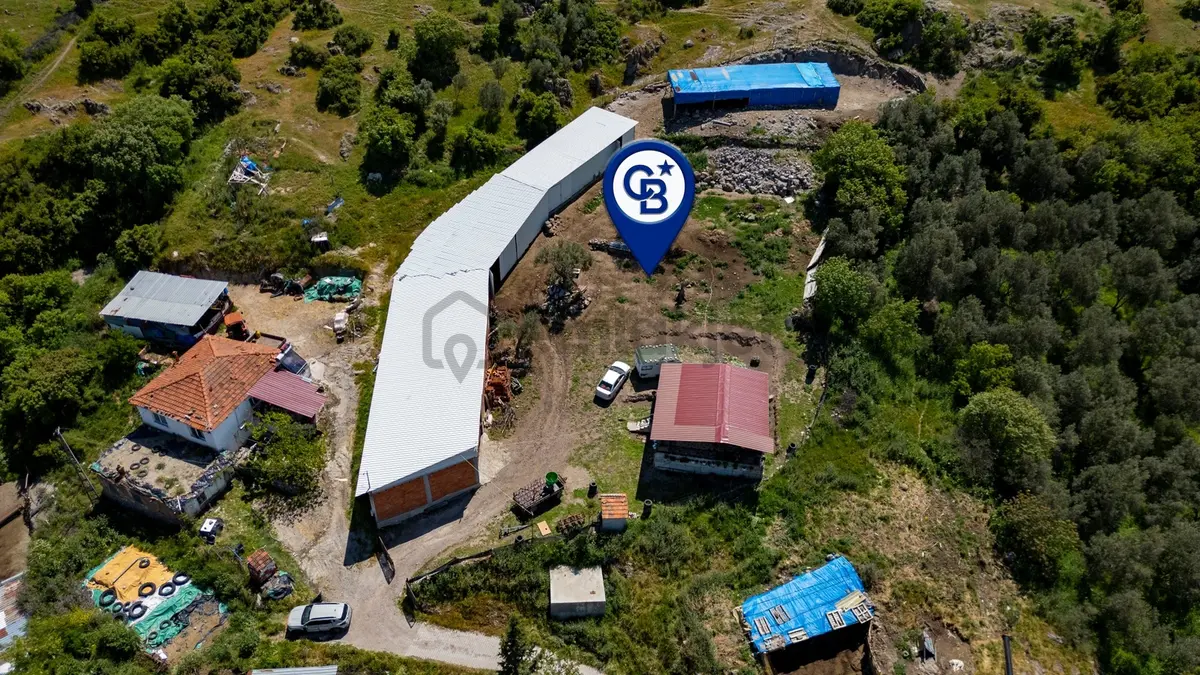 Bergama Sindel'de Satılık Çiftlik - 6
