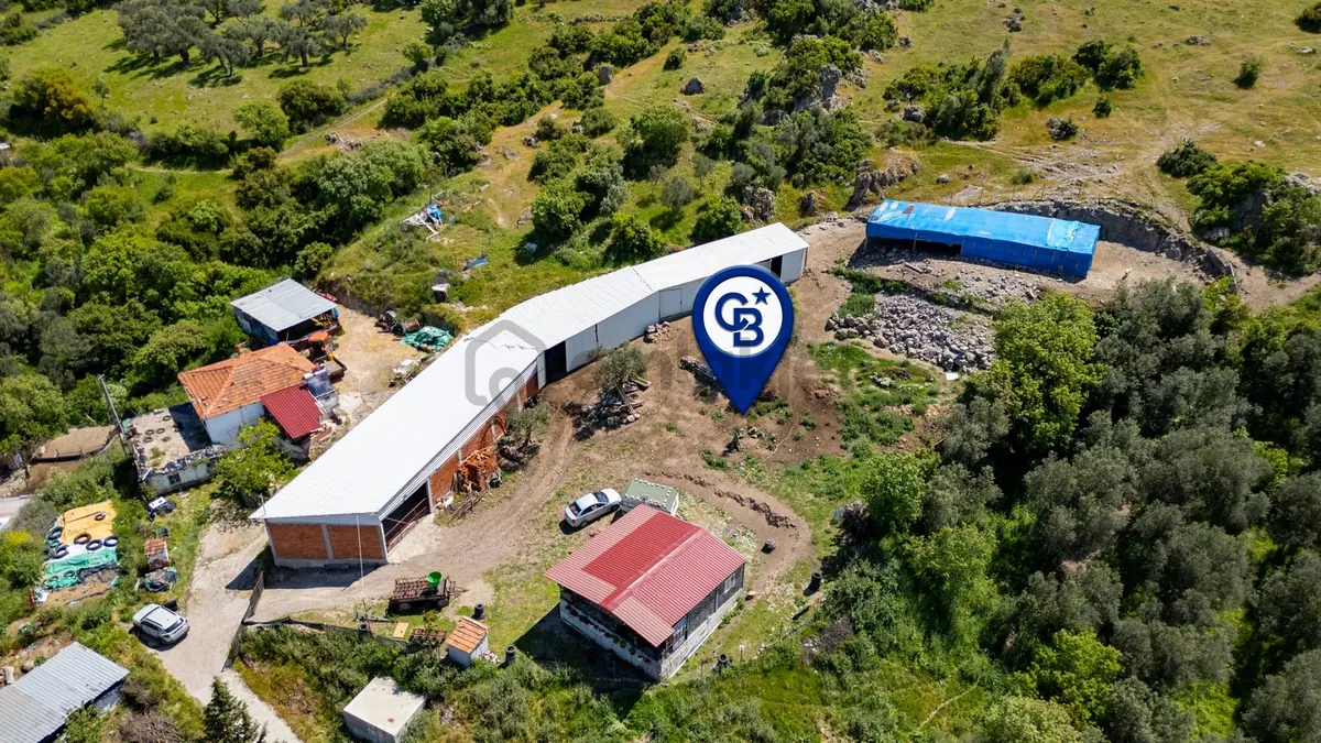 Bergama Sindel'de Satılık Çiftlik - 16