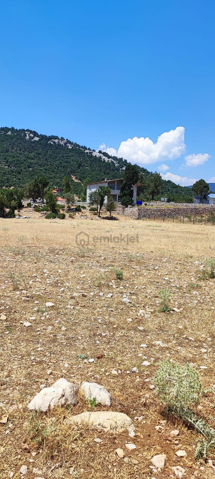 Sahibinden Sahibinden 1.706 M2 Tek Tapu Karabel-y.ceylan Satılık - 4