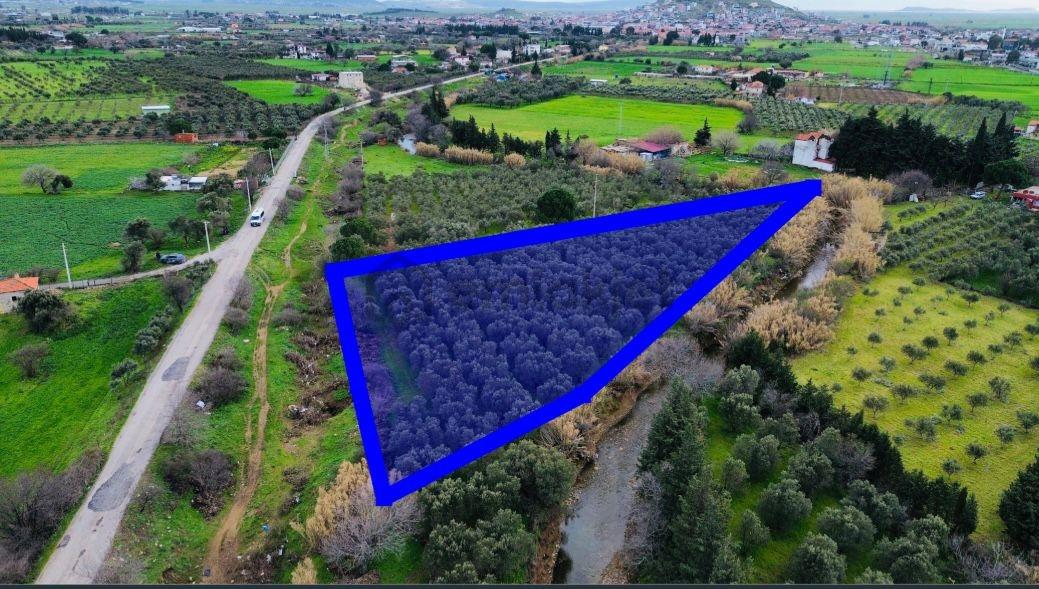 Foça Yenibağarasında Satılık Tarla - 11