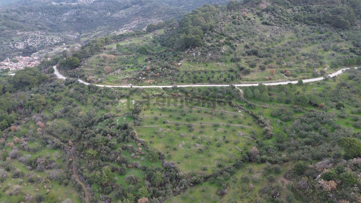 Dikili Çağlan Mahallesinde 7.772 M2 Satılık Tarla - 19