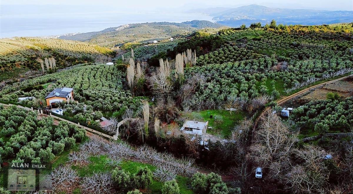 Çepnide Yola Cephe Full Deniz Manzaralı - 7