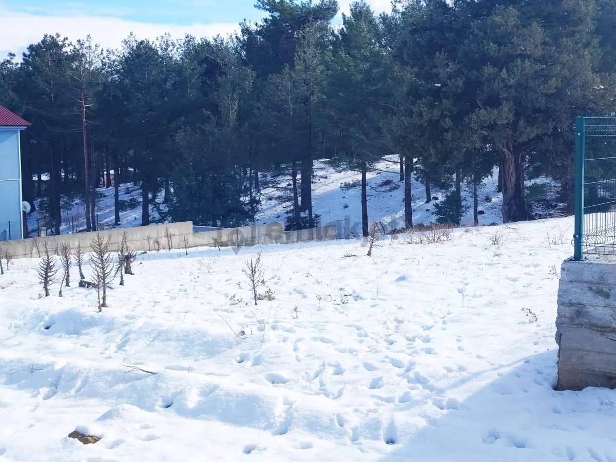 Pozantı Kar Emlak Tan - 12