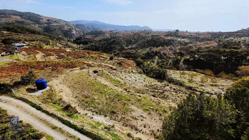 İzmir Kavacıkta Satılık Bağ - 3