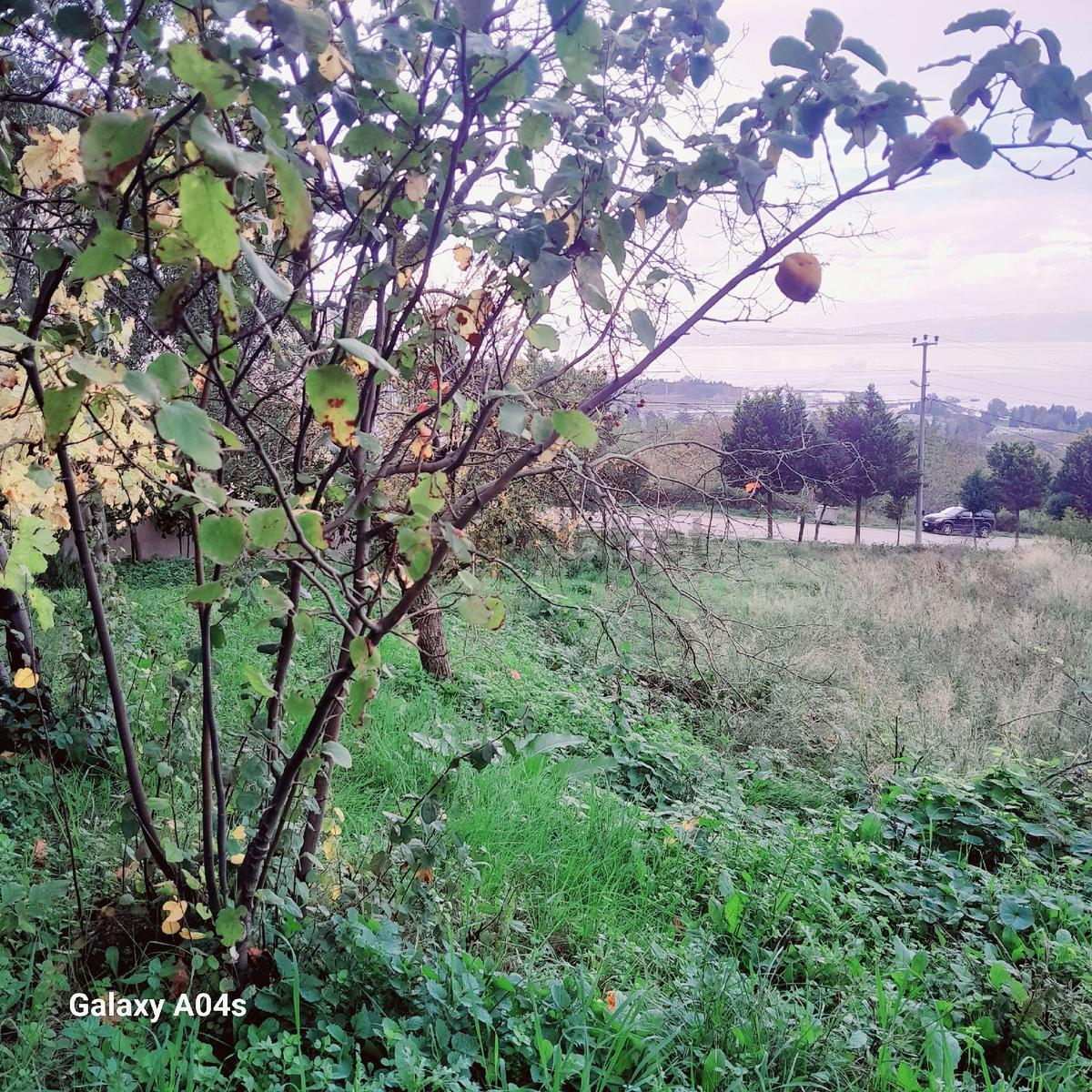 Akkoyundankaramursel Dereköyde Arsa - 11
