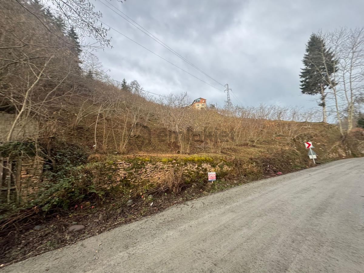 Trabzon Araklıda Satılık Arazi - 15