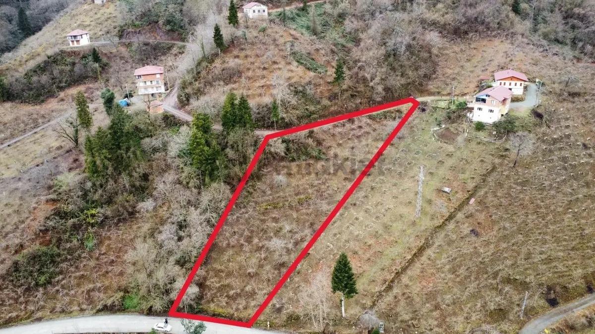 Trabzon Araklıda Satılık Arazi - 2