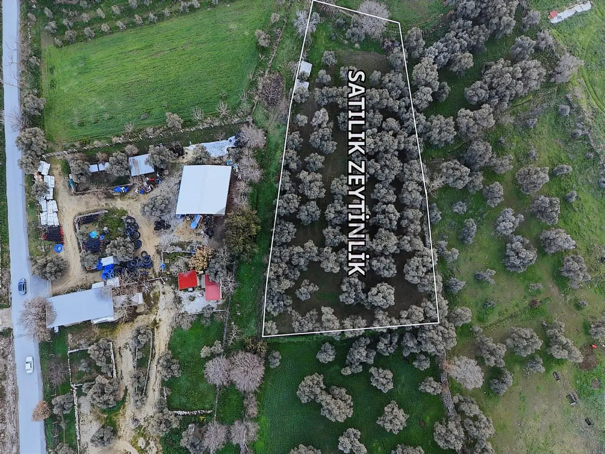 Kaçmazer'den İmar Sınırına Bitişik Satılık Arazi - 5