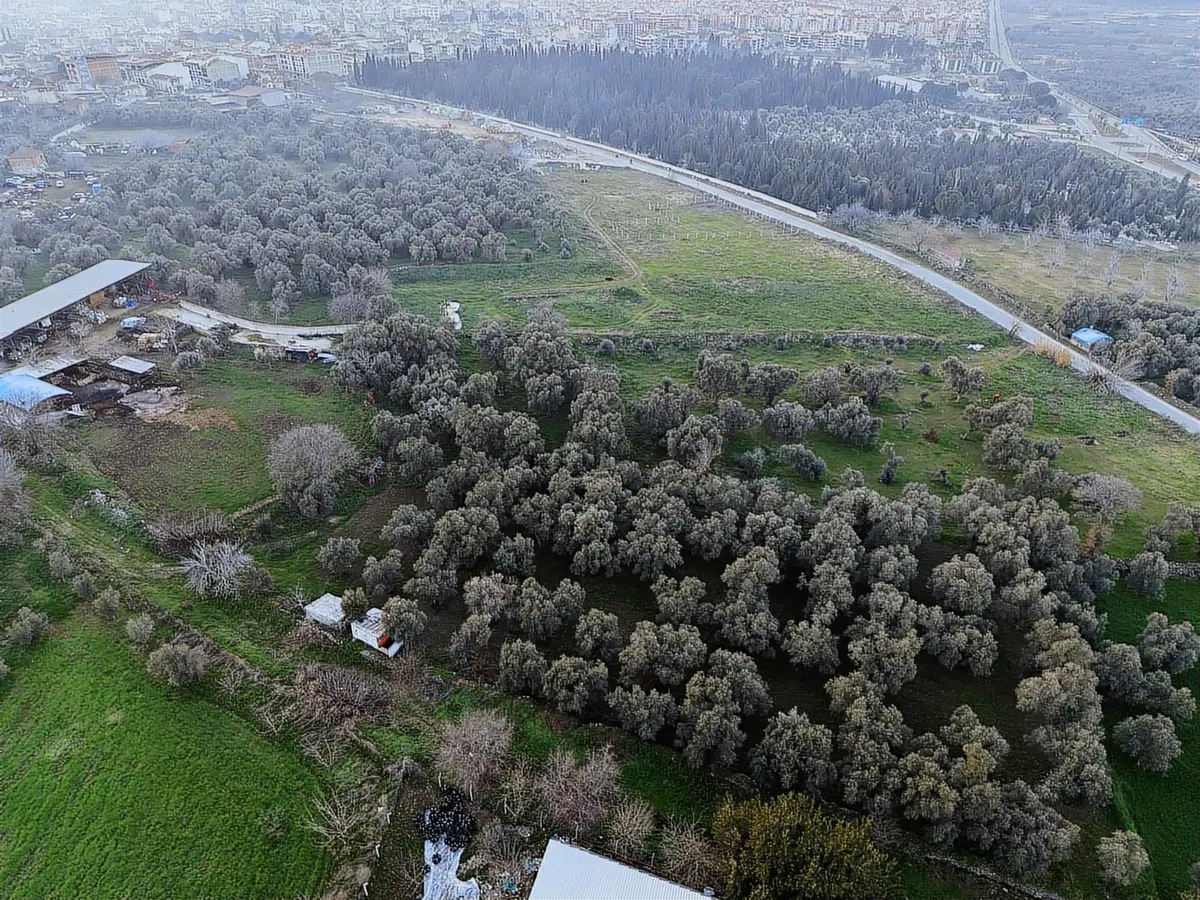 Kaçmazer'den İmar Sınırına Bitişik Satılık Arazi - 4