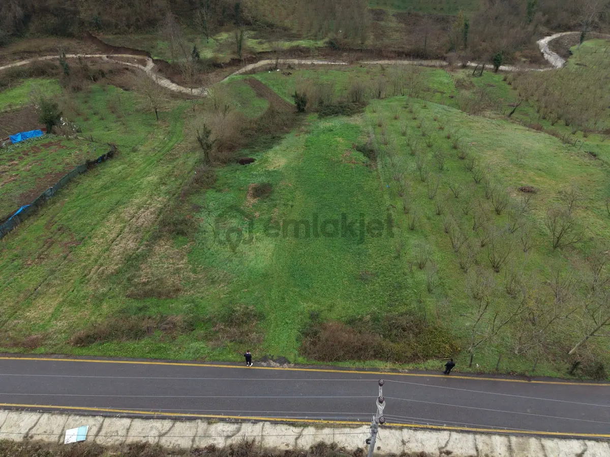 Sakarya Hendek Gündoğan'da Satılık 832 M² İmarlı Arsa - 18