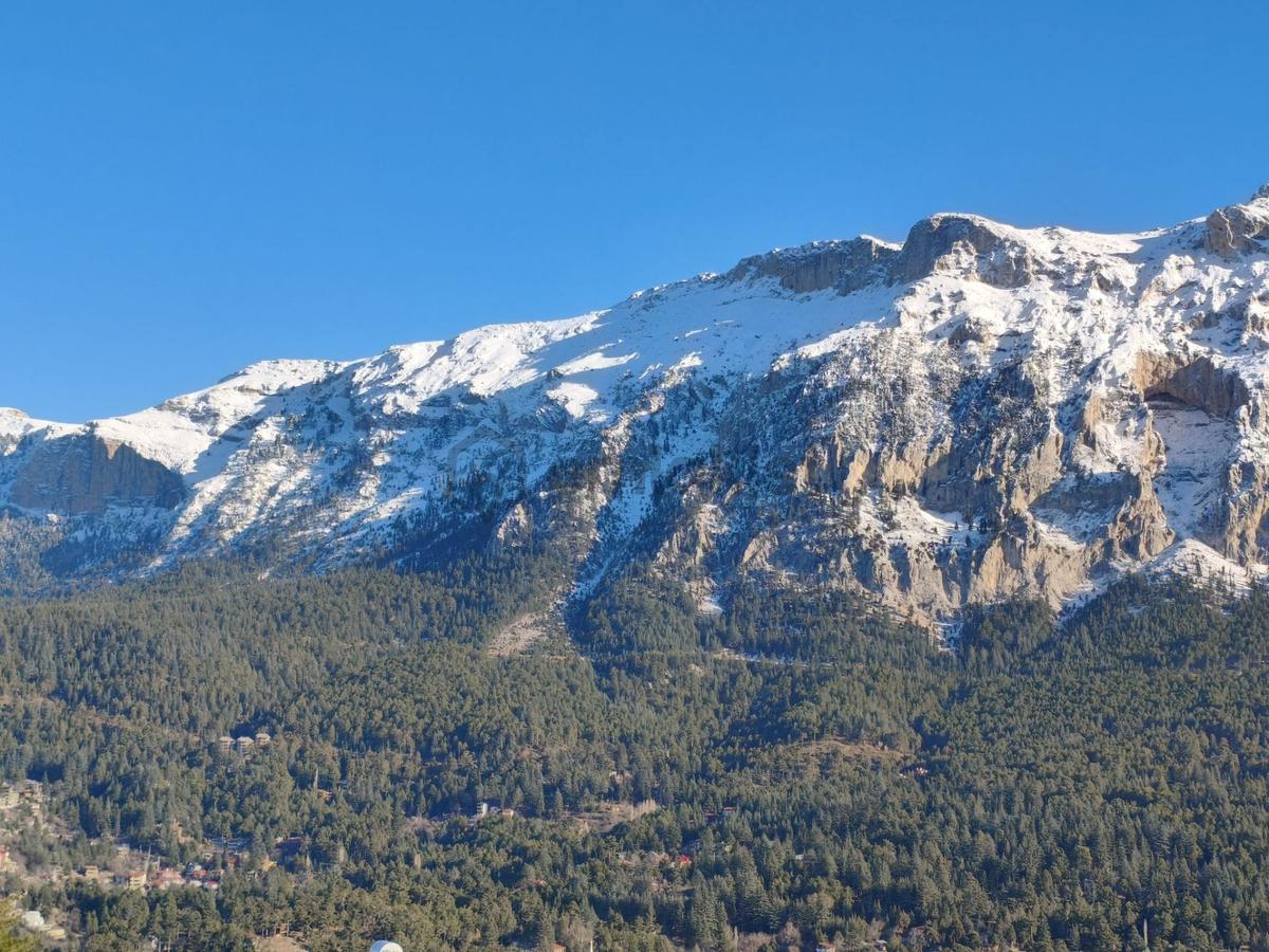 Kar Emlaktan Akçatekir Esentepede 960m2 Satılık Arsa - 20