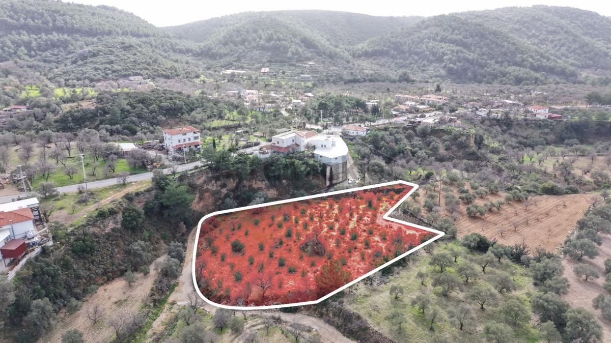 Datça Sındı Mahallesi Zeytincikte Satılık 5.738m² Tarla - 8