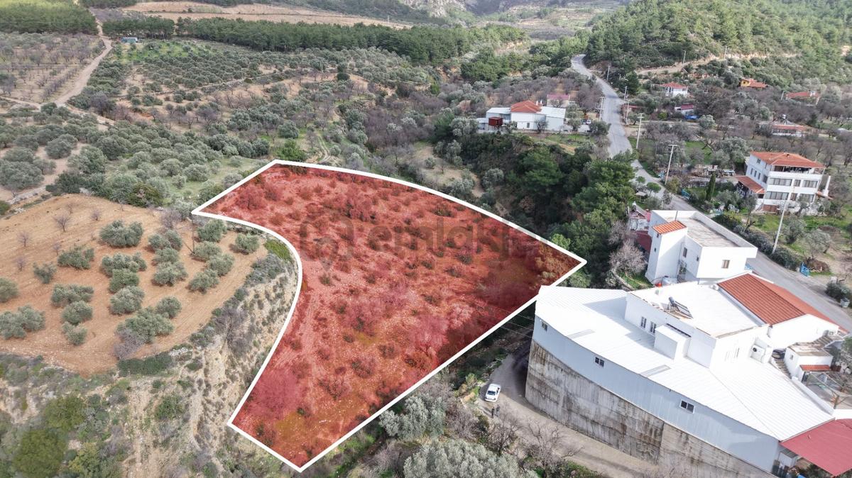 Datça Sındı Mahallesi Zeytincikte Satılık 5.738m² Tarla