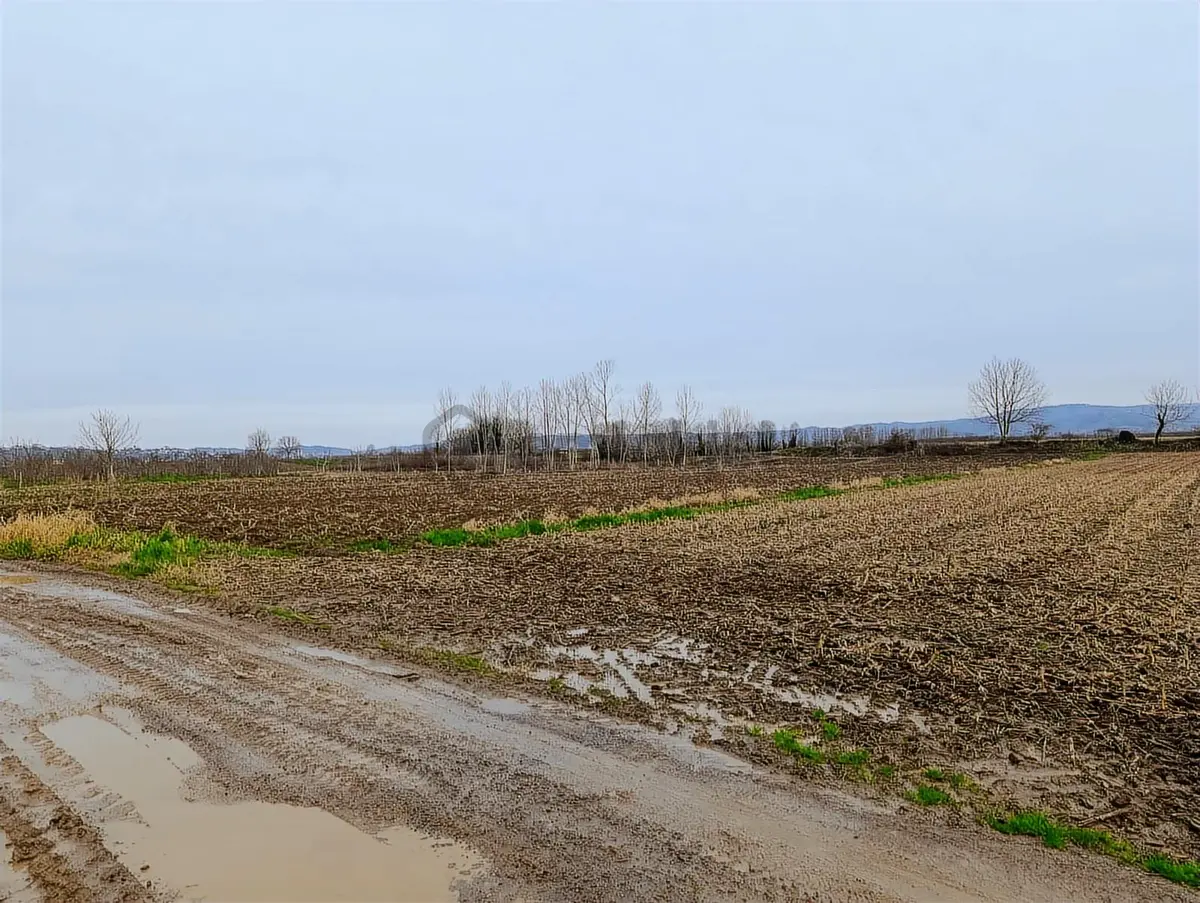 4.018 M² Satılık Tarla Konteyner Ve Yapı Kayıt Belgeli - 18
