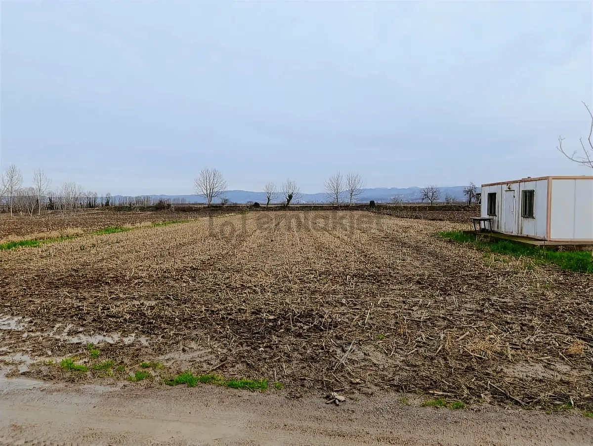 4.018 M² Satılık Tarla Konteyner Ve Yapı Kayıt Belgeli - 4