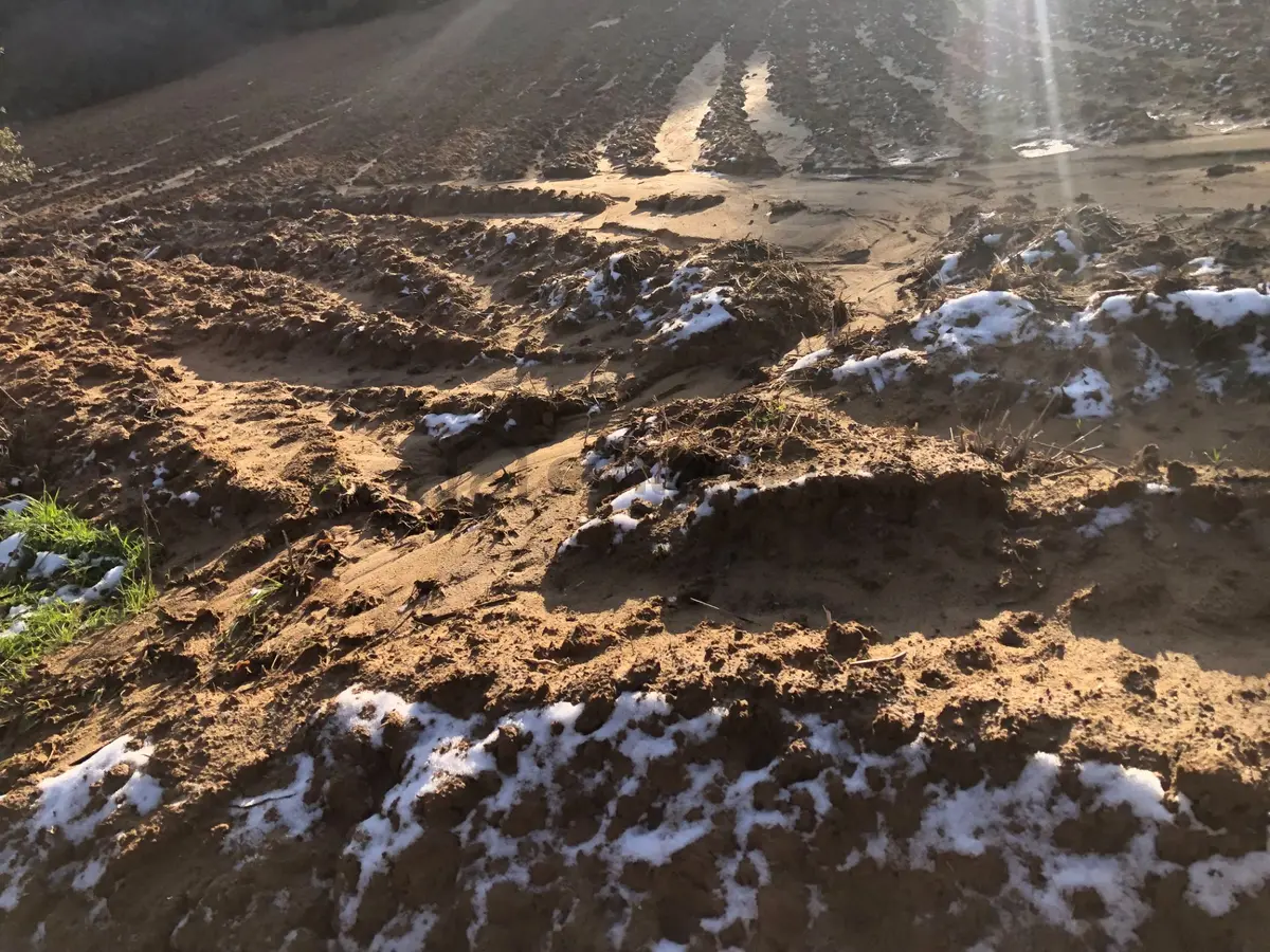 Şarköy De Işık Emlaktan Cengelli Mah De 5000 M2 Tarla - 8