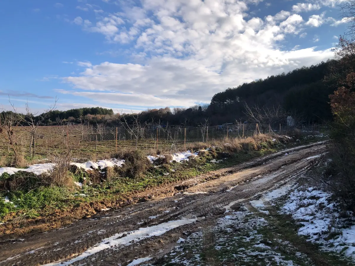 Şarköy De Işık Emlaktan Cengelli Mah De 5000 M2 Tarla - 14